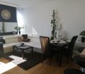 Wilanow-Rzeczypospolitej-Apartament57m-1-salon